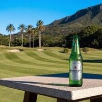 Heineken Silver